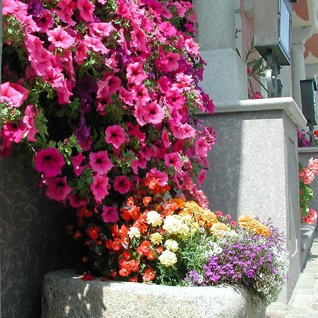 Hotel Sammer Neufelden Dış mekan fotoğraf