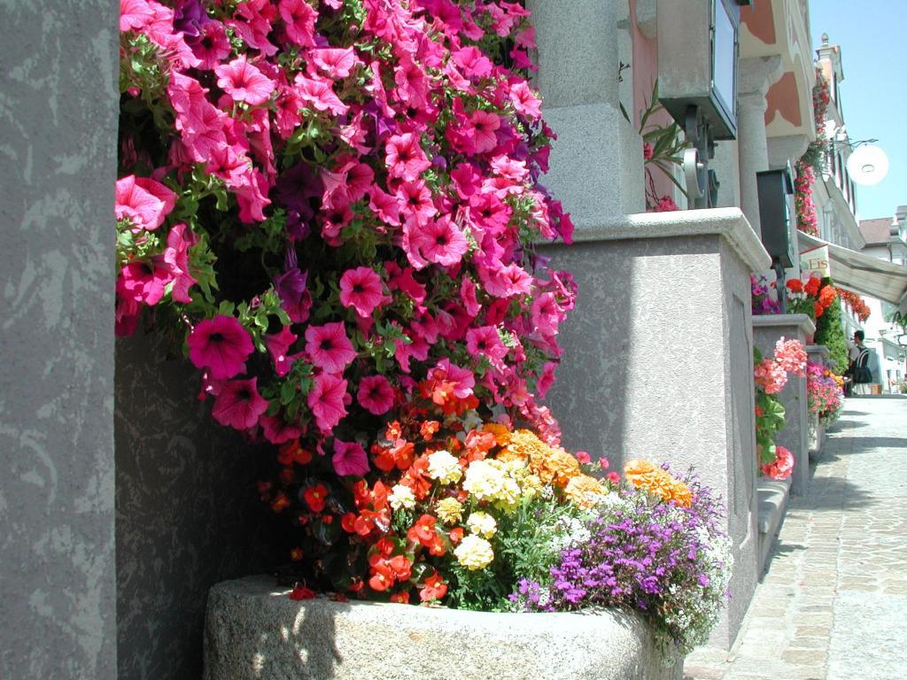 Hotel Sammer Neufelden Dış mekan fotoğraf